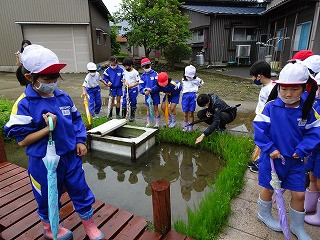 Dsc07298