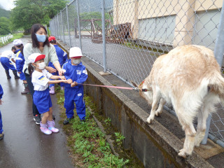 Yagi_5